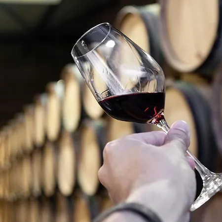 Camoes Downtown With Parking Apartment *